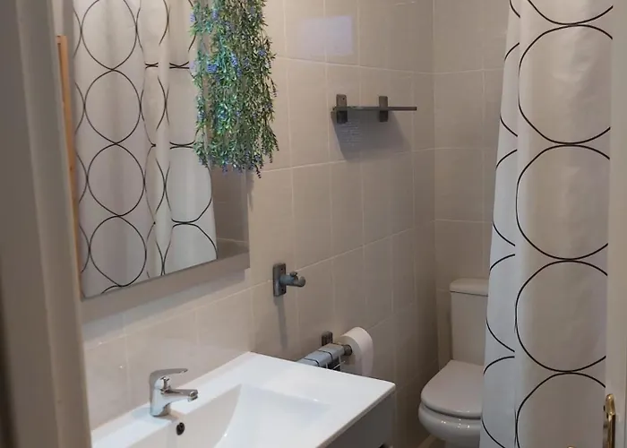 Apartamentos Orena 公寓 *