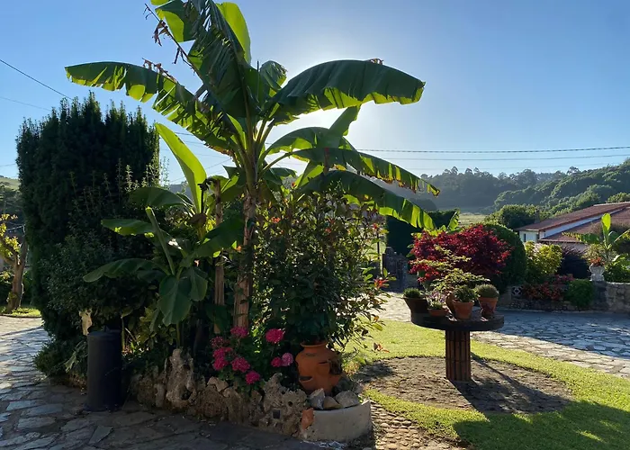 Apartamentos Orena * 奧瑞那